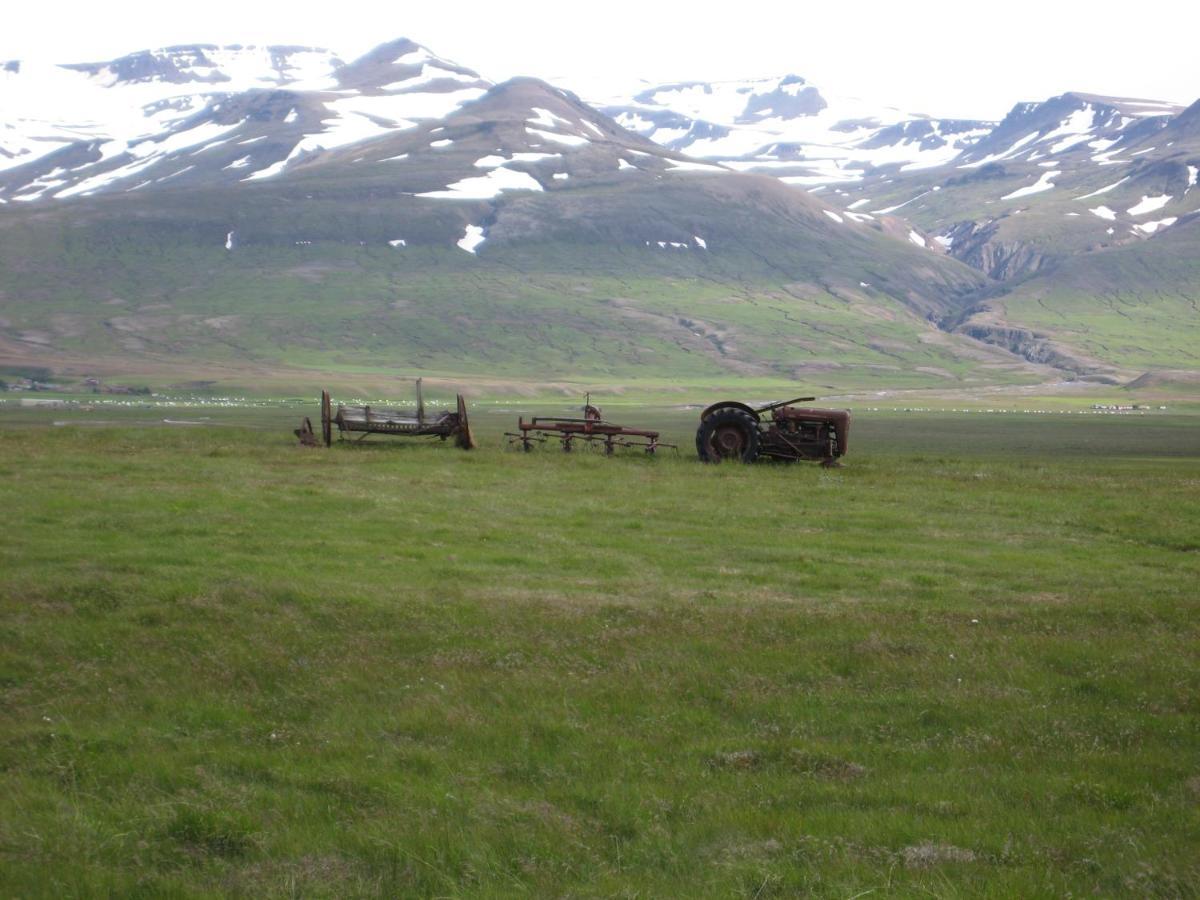 Asbrandsstadir Cottage Vopnafjorthur Bagian luar foto