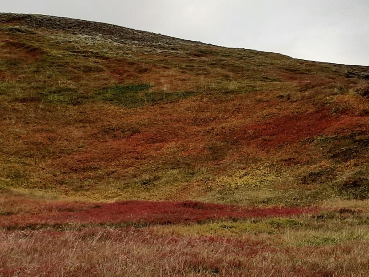 Asbrandsstadir Cottage Vopnafjorthur Bagian luar foto