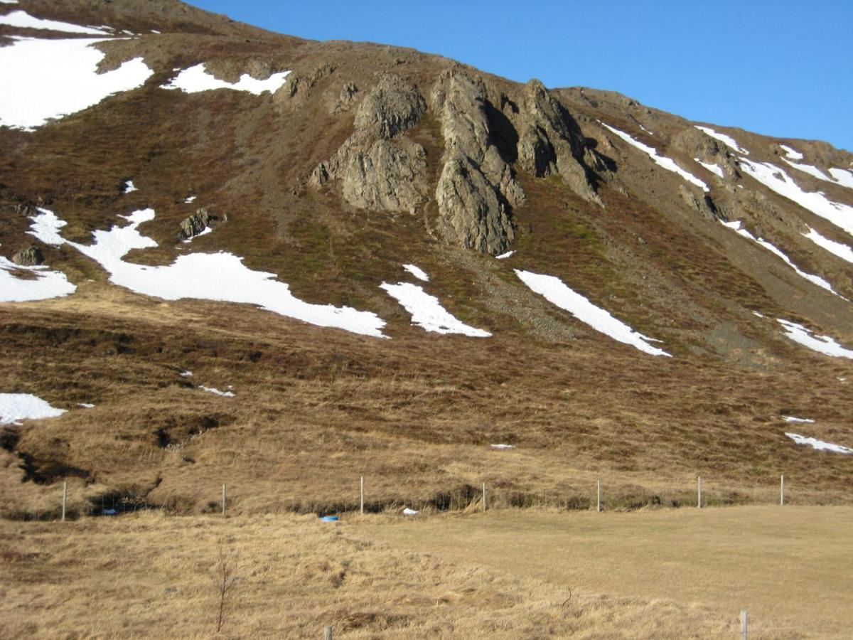 Asbrandsstadir Cottage Vopnafjorthur Bagian luar foto