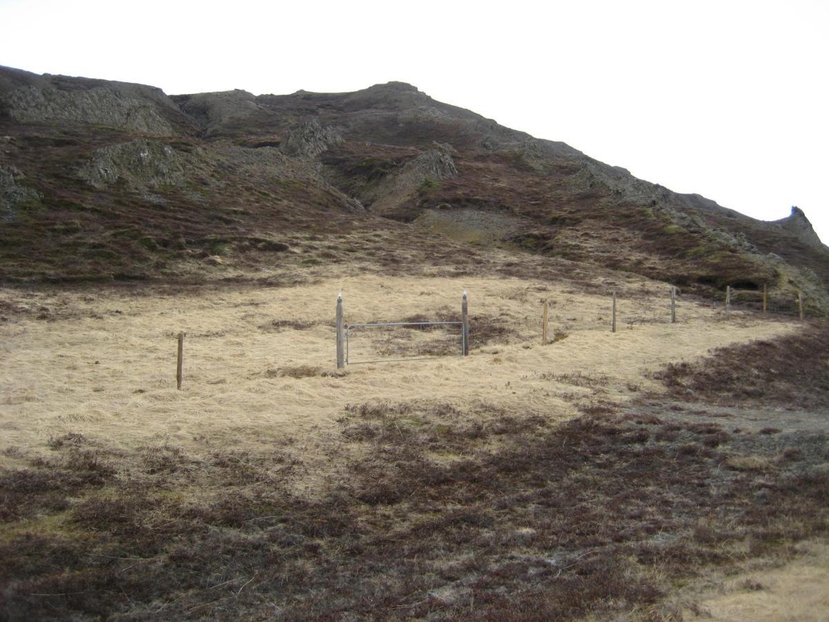 Asbrandsstadir Cottage Vopnafjorthur Bagian luar foto