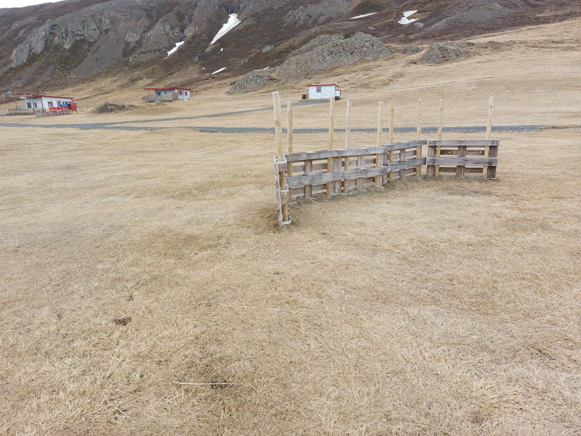Asbrandsstadir Cottage Vopnafjorthur Bagian luar foto