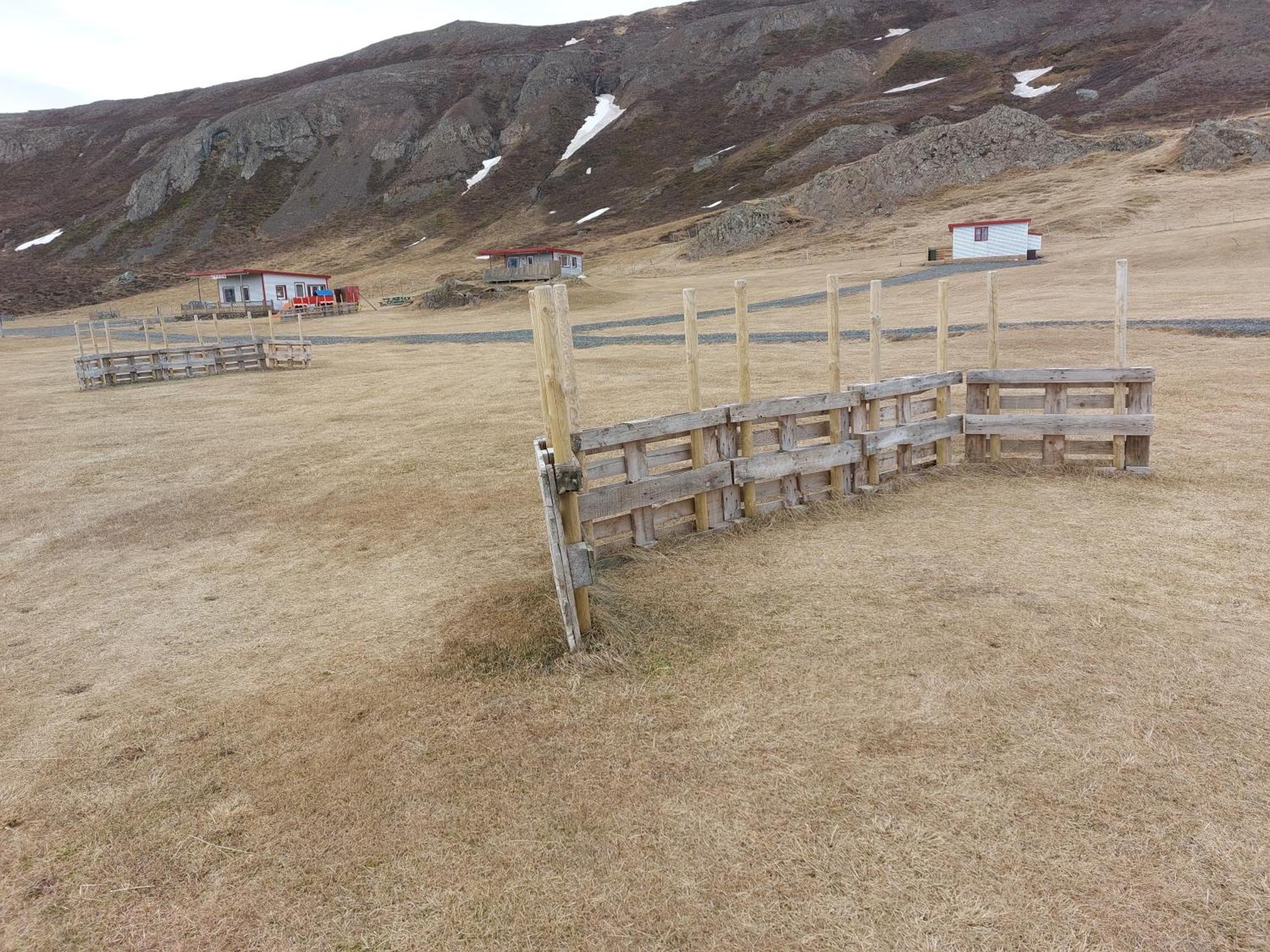 Asbrandsstadir Cottage Vopnafjorthur Bagian luar foto