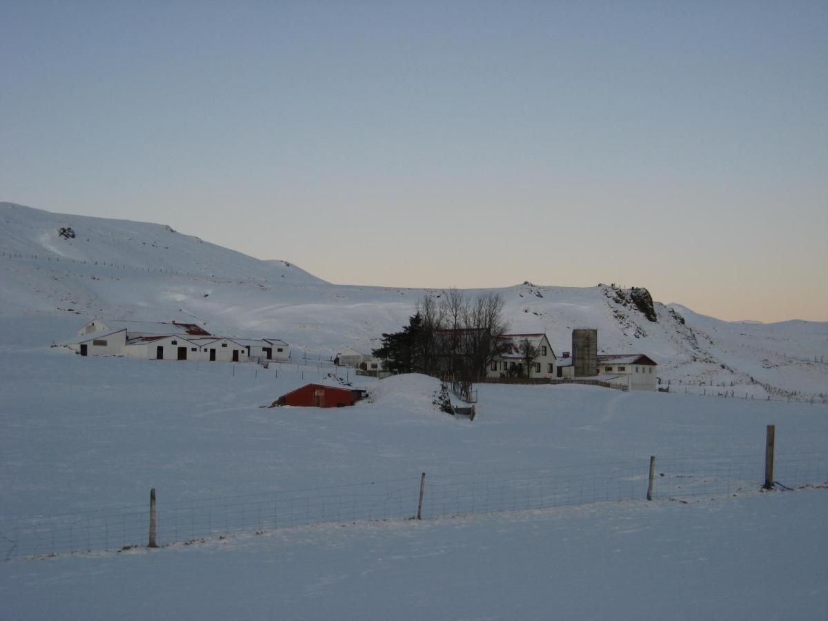 Asbrandsstadir Cottage Vopnafjorthur Bagian luar foto